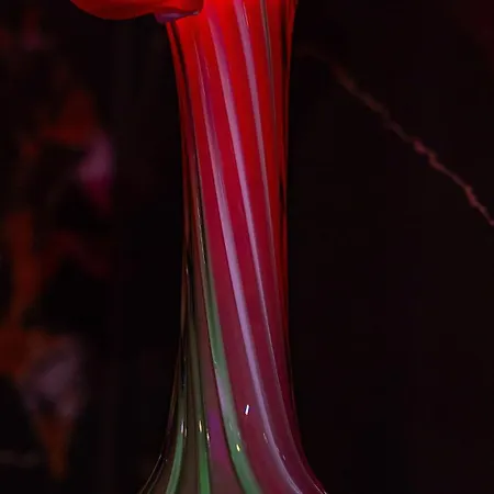 446 Black Luxury Apartment *