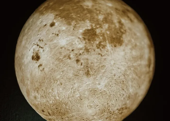 446 Black Luxury Appartement