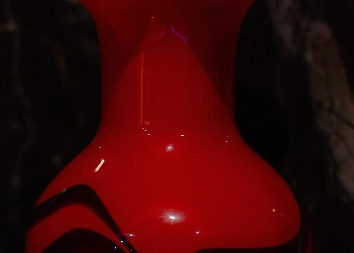 446 Black Luxury * Σκόδρα